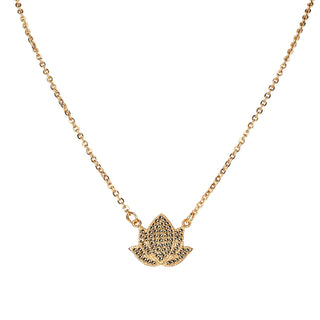 Cadena Maguey Gold