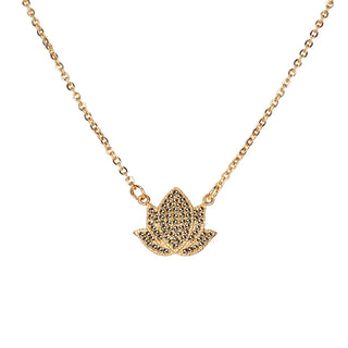 Cadena Maguey Gold