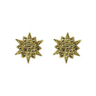 Arete Estrella Lyra Aretes de Joyería Regina Castillo